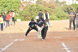 DSC_2520.JPG